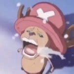 Chopper crying Meme Generator - Imgflip