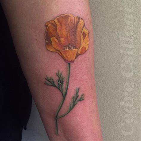 California poppy tattooed by @cedretattoos. | California poppy tattoo ...