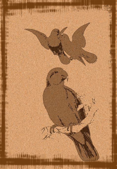 Woodcut 005 - BIRDS Free Stock Photo - Public Domain Pictures
