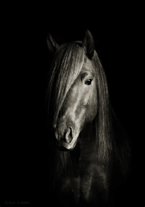 Jaw-Dropping Black & White Horse Photos - Cowboy Magic - Cowboy Magic