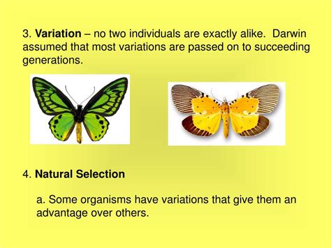 PPT - Theory of Natural Selection PowerPoint Presentation, free ...