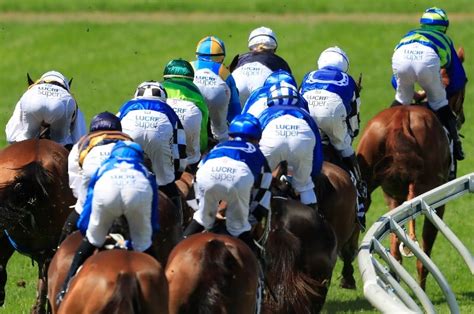 2020 Sydney Cup Preview, Predictions & Betting Tips - Big Duke tipped ...