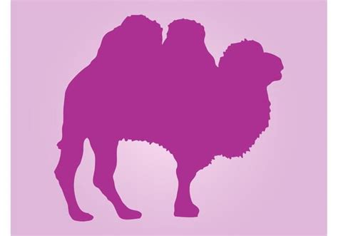 Camel Silhouette ai vector | UIDownload