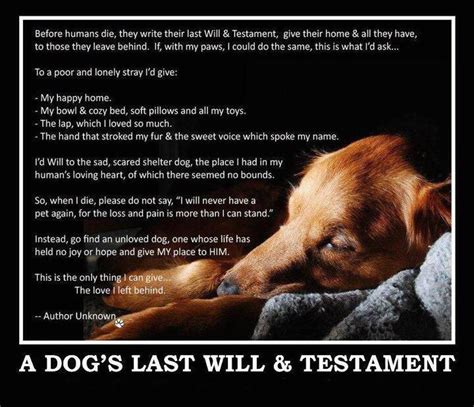 A Dog's Last Wish . . . | Dogs, I love dogs, Dog quotes