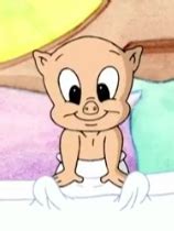 Baby Porky | Baby Looney Tunes Wiki | Fandom