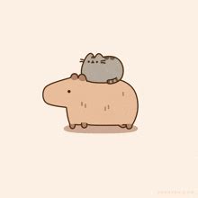 Capybara GIF - Capybara - Discover & Share GIFs