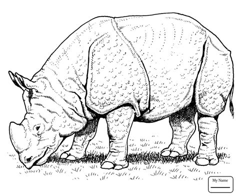 Rhino Line Drawing at GetDrawings | Free download