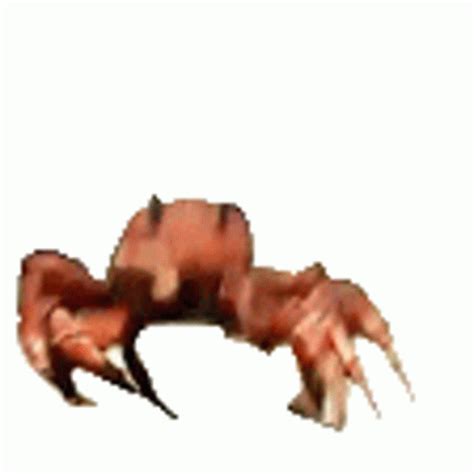 Crab Rave Twitch Sticker - Crab Rave Twitch Dance - Discover & Share GIFs