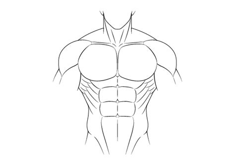 Learn to Draw Anime Muscular Male Body