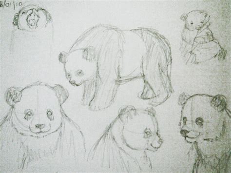 Panda Doodles by taravalentine on DeviantArt