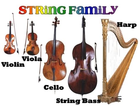 String Family