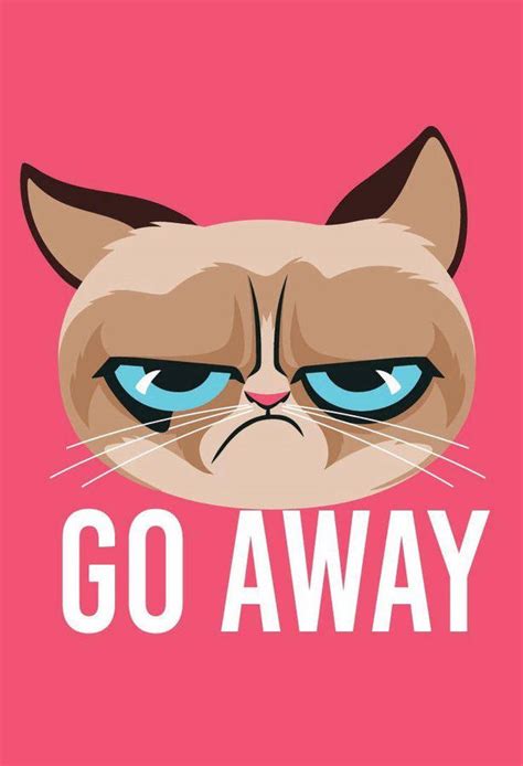 Download Grumpy Cat Meme Wallpaper | Wallpapers.com