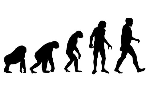Have humans stopped evolving? | SiOWfa15: Science in Our World: Certainty and Controversy