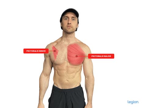 The Best At-Home Chest Workouts (with Bodyweight, Dumbbells, or Bands ...