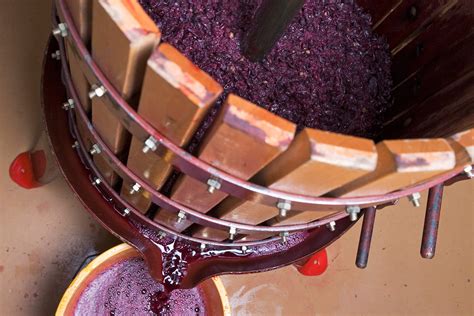 How Red Wine Is Made | Wine Enthusiast