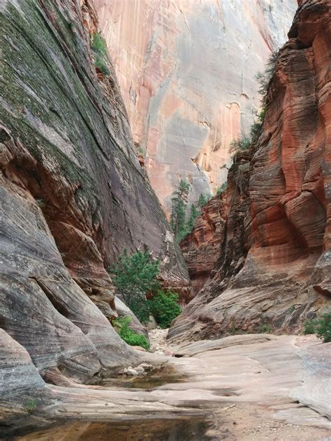 Observation Point Trail, Zion Natl. Park, Utah - Imgur Zion National ...