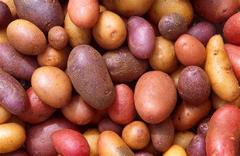 Potato Varieties: Nutritional Differences