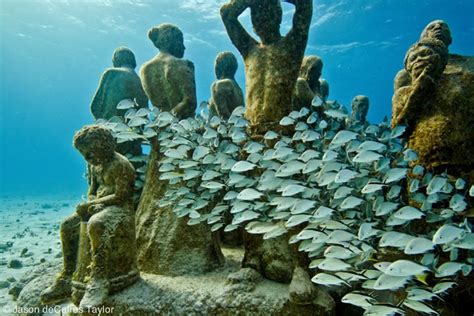 Incredible underwater sculptures turn into living reefs | Grist