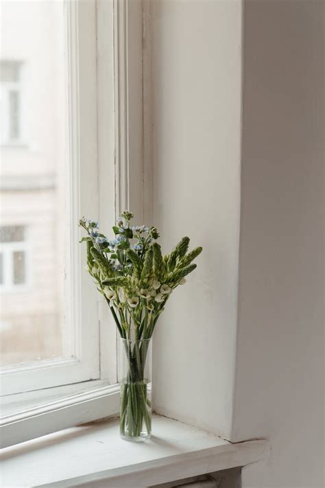 White Flowers in Clear Glass Vase · Free Stock Photo
