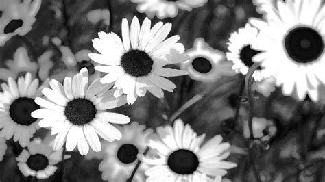 iphone wallpaper tumblr retro Elegant Cross And Flowers Clipart Black White Panda Free Cross and ...