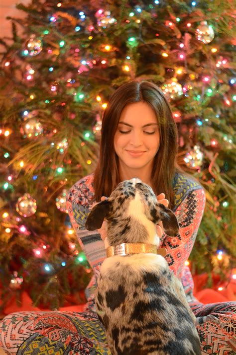 Pet Christmas Pictures, Christmas Instagram Pictures, Christmas Poses ...