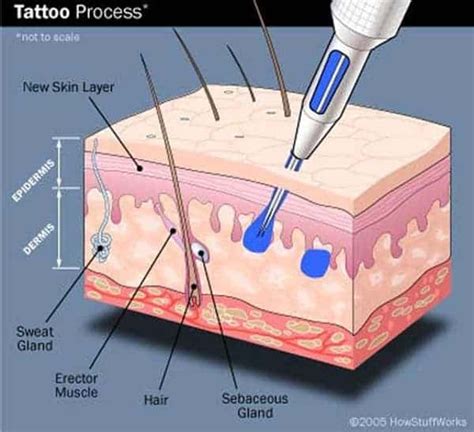 Why getting a tattoo hurts -- the science behind inking