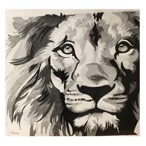 Black and white Lion | Medium: 8B Pencil | Brushuslte | Black and white lion, Lion art, Black ...