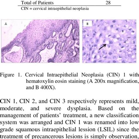 (PDF) Human pappilomavirus genotype in cervical tissue of patients with ...