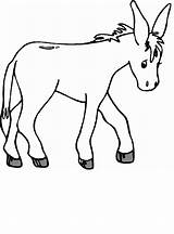 Donkey Line Drawing At GetDrawings  Free Download sketch template