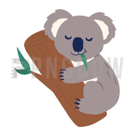 Download Free Transparent Koala PNG Image with a Background Removal, (89) - Photo #8974 - Pngdow ...