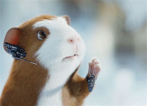 How To Care For Your Guinea Pig - G-Force Style!!