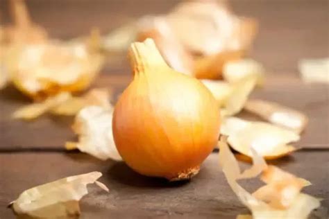 The 8 Surprising Health And Other Benefits Of Onion Skin