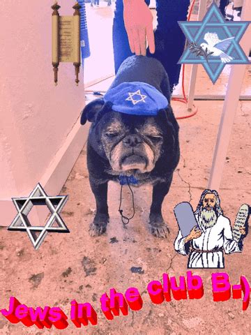 Jewish Judaism GIF by David - Find & Share on GIPHY