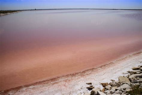 The color of salt 27086262 Stock Photo at Vecteezy