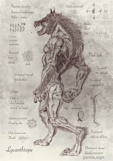 Lycanthrope - Imgur | Criaturas mitológicas, Arte de criaturas míticas, Hombres lobo