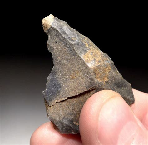 M370 - finest mousterian neanderthal engraver flake tool from france with aesthetic color ...