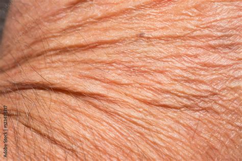 Texture of the skin with wrinkles on the body of mature male Stock-Foto | Adobe Stock