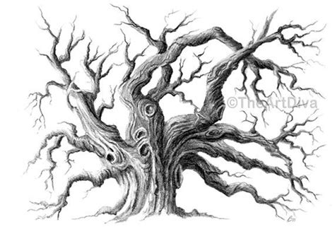 Pencil Drawing, Oak Tree, Black and White Archival, 5" x 7" Print, 'Spirit Tree' | Oak tree ...