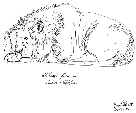 Lion Lying Down by Avionscreator on DeviantArt