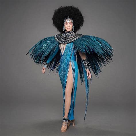 The Goddess Of Pop | Cher outfits, Cher costume, Cher dress