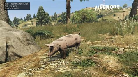 Pig | GTA 5 Animals, How To Play & Where To Find