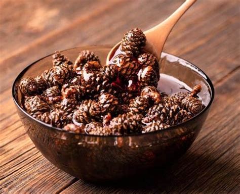 Can You Eat Pine Cones? (5 Best Uses for Edible Pine Cones)