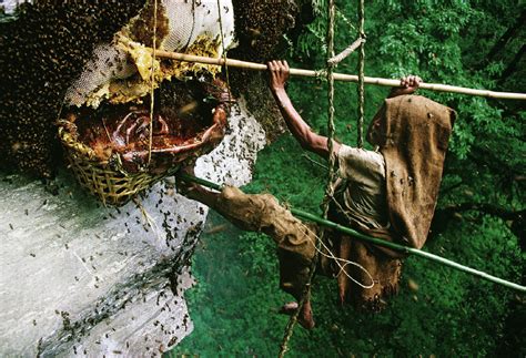 Bytes: The Honey Hunters of Nepal