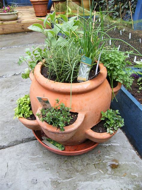 How to Plant Herb Pots. Thyme and oregano are low-growing plants, so place them