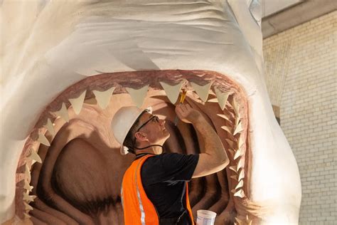 Megalodon May Be Extinct, but There’s a Life-size One at the ...