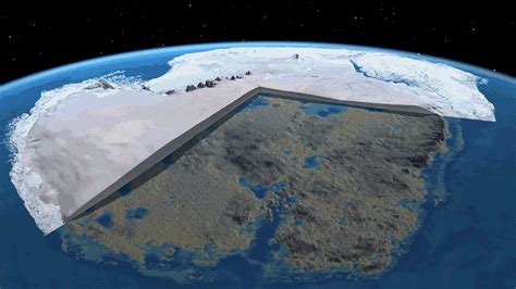 new illuminati: Antarctica — Once a Tropical Paradise: Evidence for Recent Pole Shift