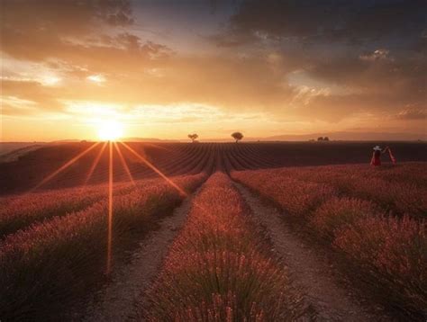 ปักพินในบอร์ด Provence, South East France.