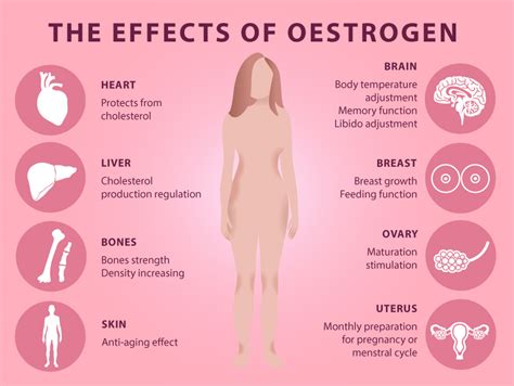 The Many Personalities of Oestrogen – the Good, the Bad, the Beautiful - Luke Clarke