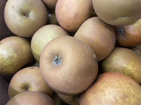 Apples Russet - Langridge Organic Products Ltd