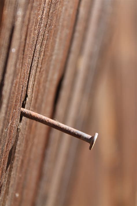 Rusty Nail | Rusty nail, Rusty, Photography